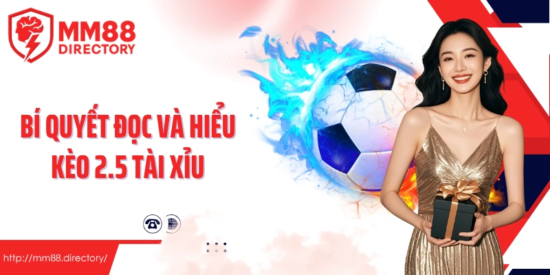 Bí quyết đọc và hiểu kèo 2.5 tài xỉu như dân chơi chuyên nghiệp